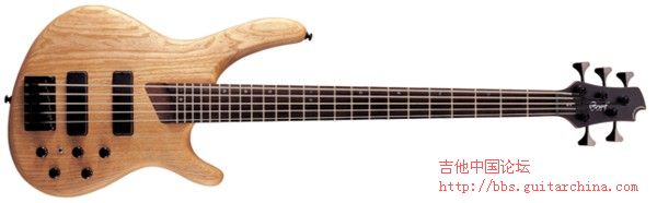 cort_b5[1].jpg